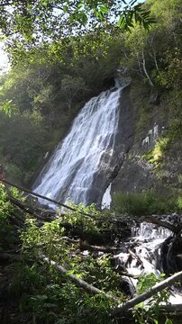 The tall Klokovsky waterfall on Sakhalin cascades down from a green rocky cliff. A rainforest with dense trees surrounds the falling water. Natural landscape.