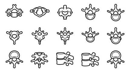 Obraz premium Spine Vertebrae Anatomy Collection Isolated on Transparent Background - Medical Illustration