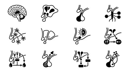 Obraz premium Medical Icons: Brain, Pituitary Gland, Neurons, Hormones, and Biological Processes