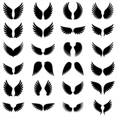 Fototapeta premium Bird Wing Silhouette