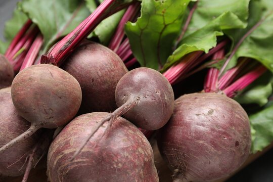 Many young beets with green leaves, closeup