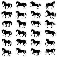 Fototapeta premium Horse Silhouette Clip Art