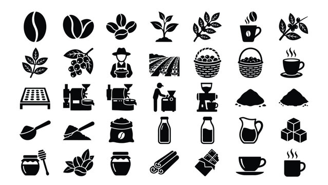 Coffee production and consumption icon set showing beans roasting brewing processing and serving steps for beverage industry visuals
