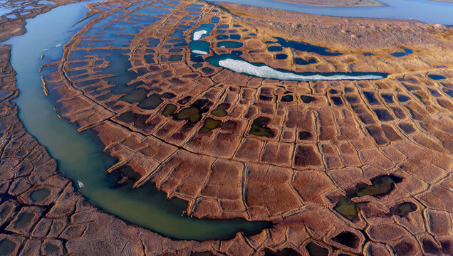 Aerial view of permafrost polygons, Teshekpuk Lake wetlands