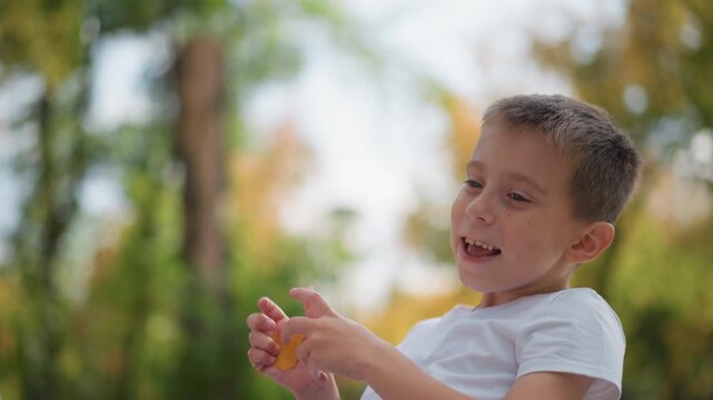 Close up of young boy interacting with adult hands in outdoor setting extending arms and receiving leaf. Boy wears white t shirt soft natural light illuminates scene against blurred green