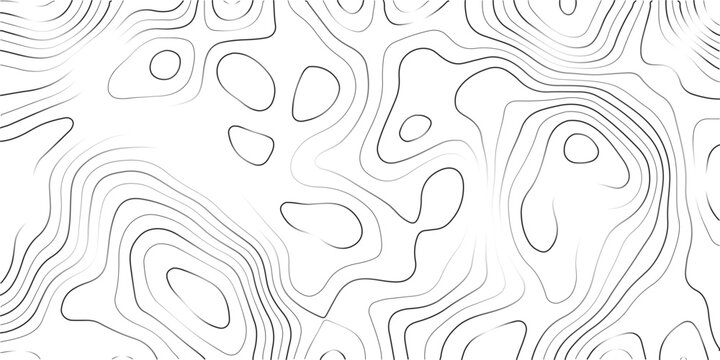 Topographic map background, contour lines texture, topography grunge pattern, elevation lines on white background, abstract landscape vector illustration