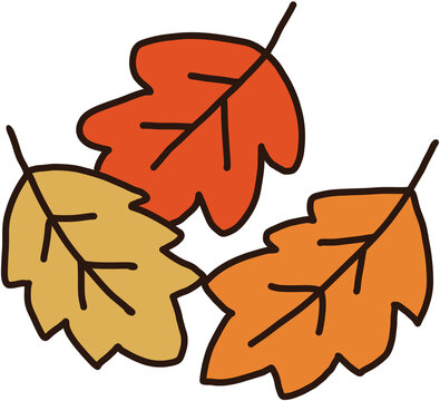 Cute cartoon three autumn fall leaves in orange red yellow clipart illustration on transparent background