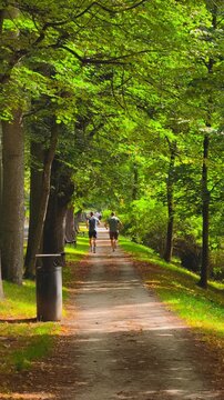Two Men Jogging Along Shaded Park Path in Real Time 4K Vertical Video