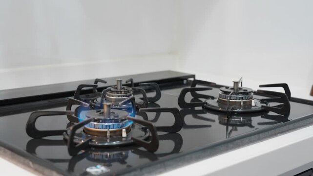 Gas Stove Burner with Blue Flame in Kitchen