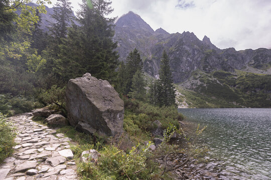 mountain landscape in the mountains