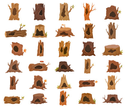Hollow Tree Stumps & Trunks Vector Bundle