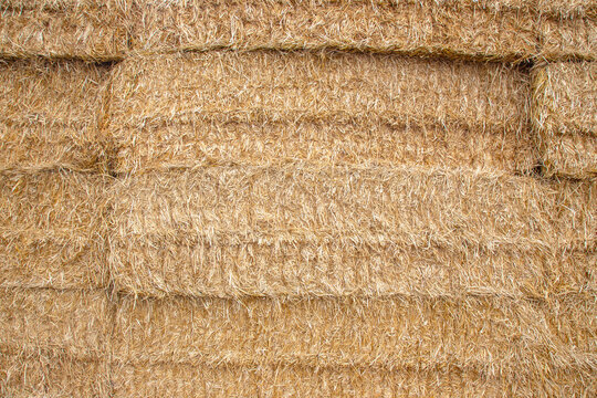Hay bales stacked neatly in a barn or farm area during daylight hours