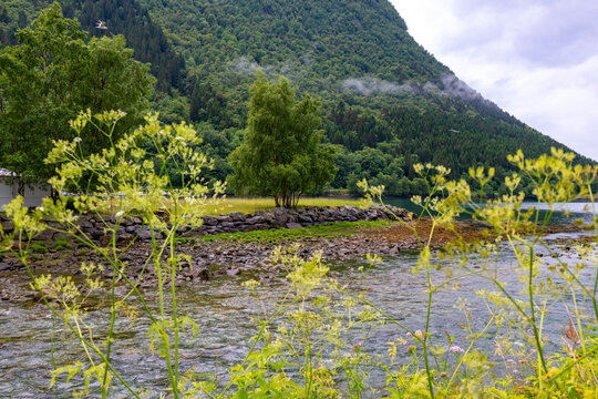A beautiful summer  landscape with a village by the fjord . A summer scenery of World Heritage Area in Western Norway.