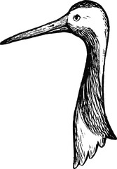 Naklejka premium Simple and adorable Red-crowned crane head illustration with outlines only vintage style