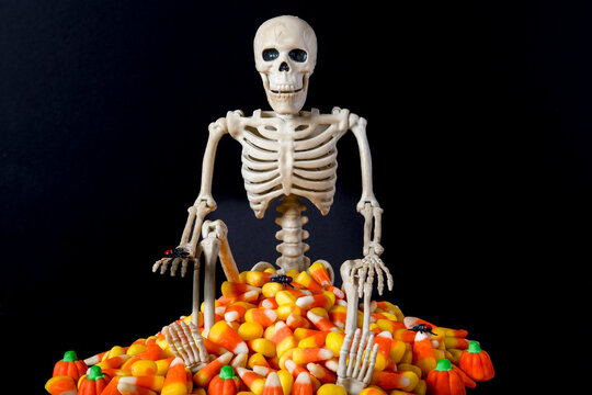 skeleton sitting on pile of candy corn and pumpkins with black house flies and black background 