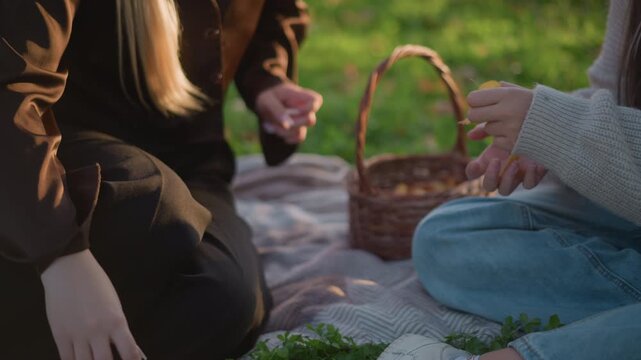 Two women sit on blanket outdoors gathering small plants and placing them into wicker baskets. One wears dark clothing with long blonde hair while other has darker straight hair in light