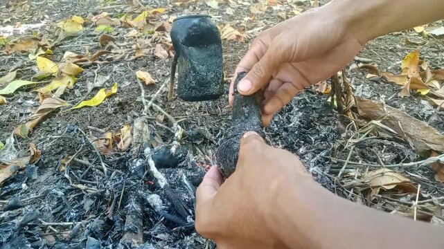 Hands checking the doneness of a traditional charcoal baked taro root.