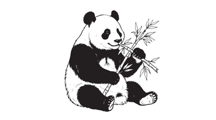 Vintage hand drawn giant panda vector, black and white panda bear eating bamboo, retro wildlife animal illustration © Muhammad