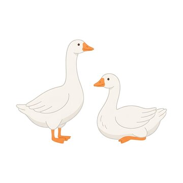 Two cute white geese standing and sitting together isolated on a white background in cartoon style