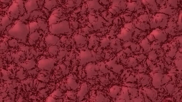 Microscopic red muscle fiber structure background. Abstract organic tissue vessel network texture. Biological meat cell backdrop.