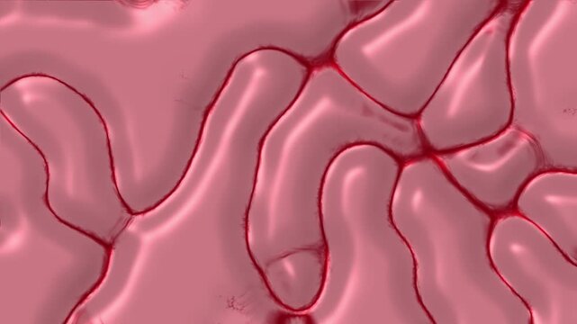 Pink liquid organic texture background. Soft biological tissue cell membrane movement. Glossy rose fluid wave backdrop.