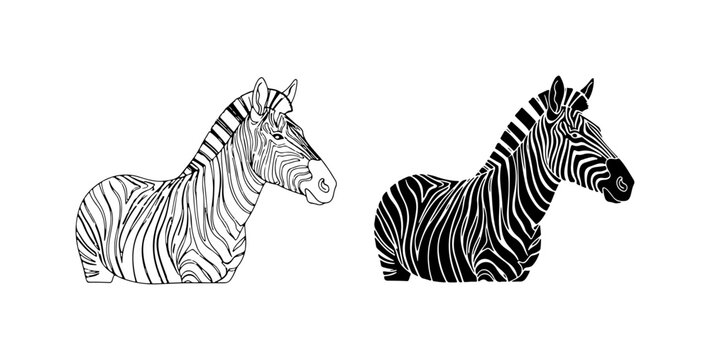 Zebra Illustration Set, Black and White Line Art & Silhouette Vector Graphics