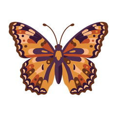 Fototapeta premium Vibrant orange butterfly with purple wings spread open on white background