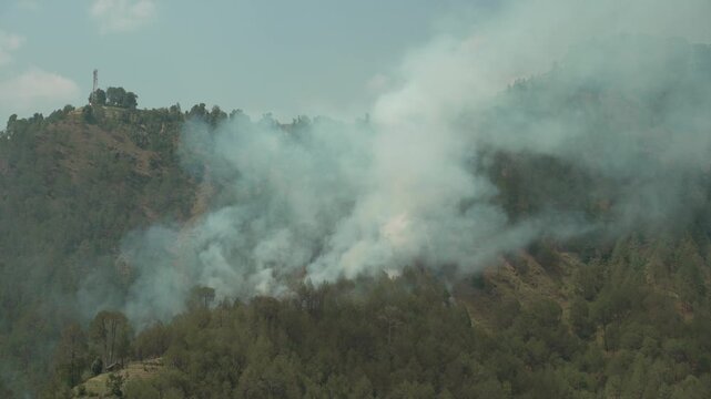 Static wide-angle shot capturing a wildfire sweeping through a green pine forest in Himachal Pradesh, India, with dense white smoke billowing over the mountainous landscape.