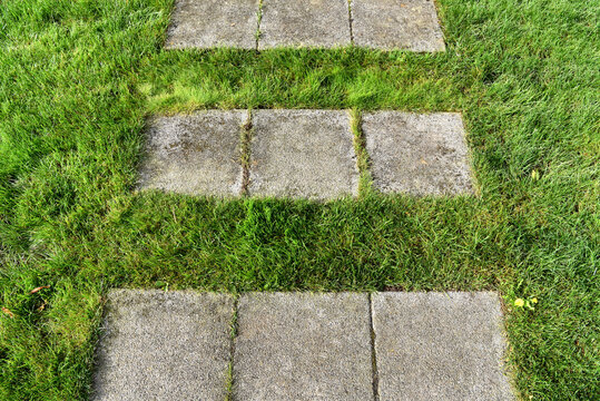 Concrete Stepping Stone Path Through Vibrant Green Lawn