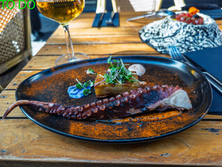 Gourmet grilled octopus tentacle with potato gratin in Spain © Dmitry Rukhlenko