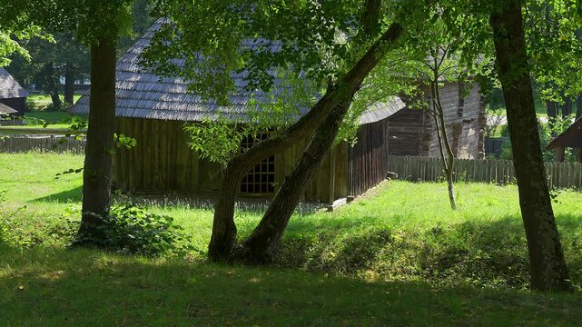 Old wooden rural buildings surrounded by trees and grass in a traditional Romanian village setting