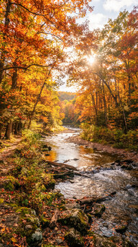 Senderista caminando junto a un r&iacute;o cristalino en un frondoso bosque de oto&ntilde;o, iluminado por c&aacute;lidos rayos de sol entre hojas doradas y rojizas.