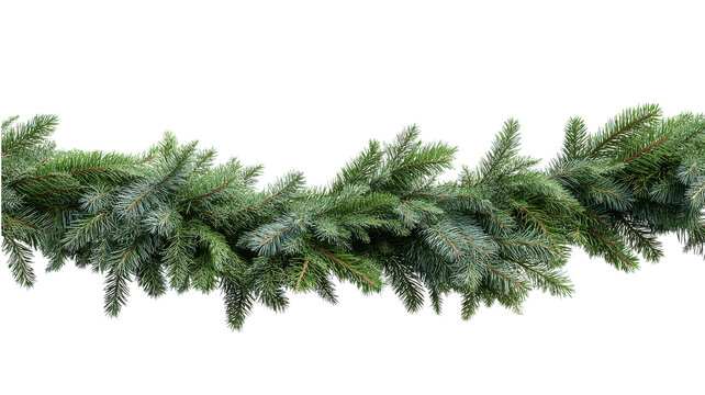 Green fir branches garland border element
