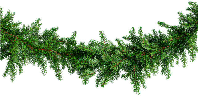 Christmas fir garland border on transparent