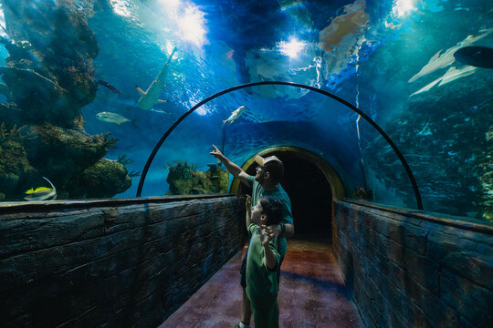 Father and his son enjoying the day at the aquarium