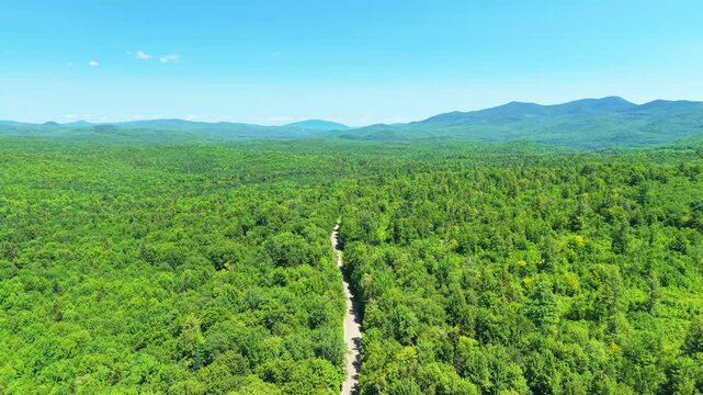 Paved rural road cutting through an expansive green summer forest canopy stretching toward distant mountain ranges in Vermont.