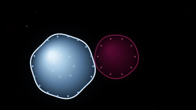 Abstract biological cell division animation, microscopic cellular interaction and molecular fusion motion