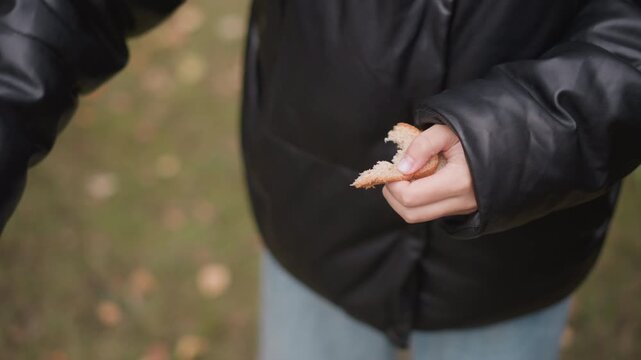 Close up of woman wearing black leather jacket tearing bread in hand. Hands manipulate food item showing texture detail against outdoor background with green grass and fallen leaves. Soft