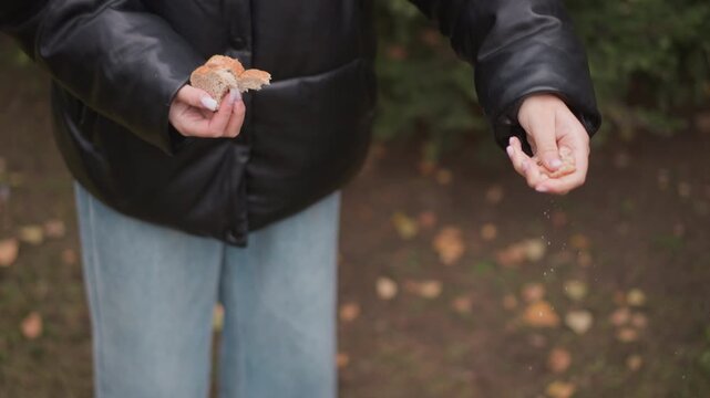 Close up of person wearing black jacket and blue jeans holding bread in one hand while scattering crumbs with other. scene is set outdoors on ground covered with fallen leaves suggesting
