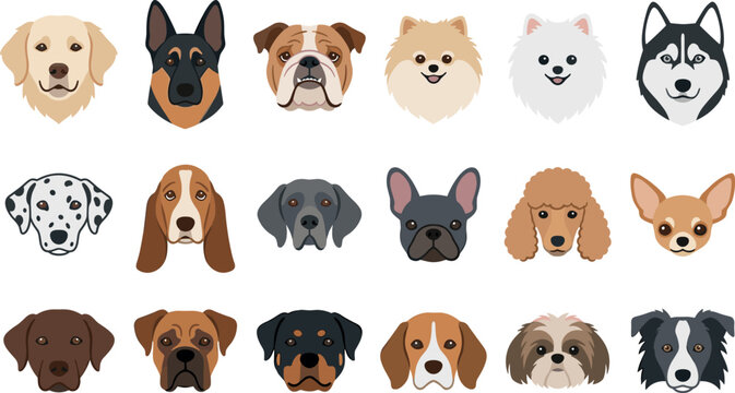Popular Domestic Dog Breeds Portrait Set with Golden Retriever German Shepherd French Bulldog and Siberian HuskyDental Care and Oral Hygiene Flat Line Icon Vector Set 
