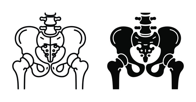 Human pelvis hip joint medical icon vector showing injection and biopsy procedures for orthopedic surgery, diagnosis and bone health