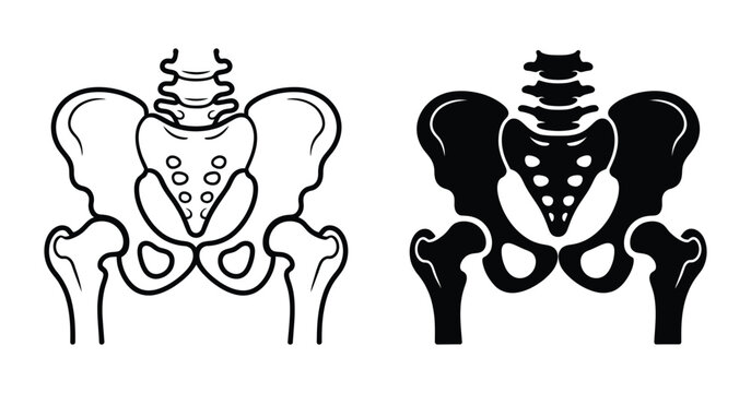 Human pelvis hip joint medical icon vector showing injection and biopsy procedures for orthopedic surgery, diagnosis and bone health