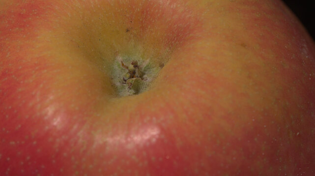 Description:
Macro close-up of a red and yellow apple showing the stem cavity, natural skin texture and subtle surface details.