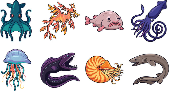Colorful marine creature collection featuring octopus seadragon blobfish squid jellyfish nautilus eel deep sea shark cartoon vector illustrations