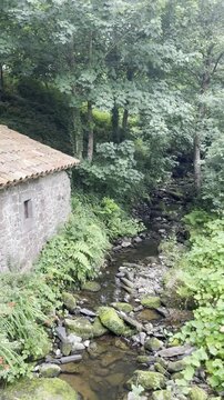 Rustic stone house sits beside a calm stream. Moss covers stones in the water. Lush greenery surrounds the scene. Damp earth and foliage create a peaceful atmosphere