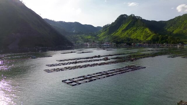 Large-scale freshwater fish farming using floating cages on Lake Toba, North Sumatra, Indonesia