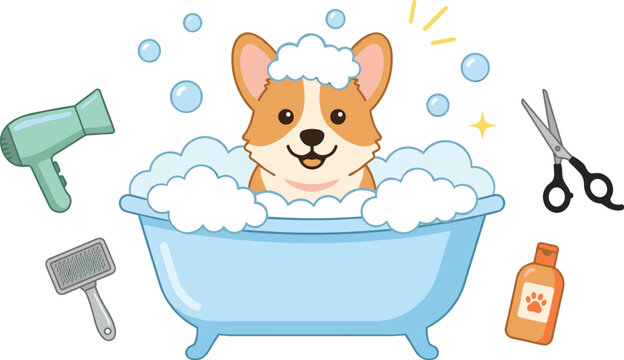Cute corgi puppy dog taking bath in tub vector illustration set with pet grooming scissors brush dryer isolated on white background,
