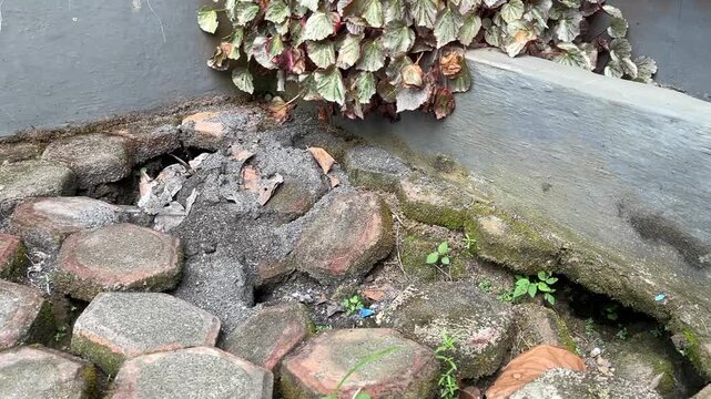 Broken paving block hole on garden ground near potted plants, high angle