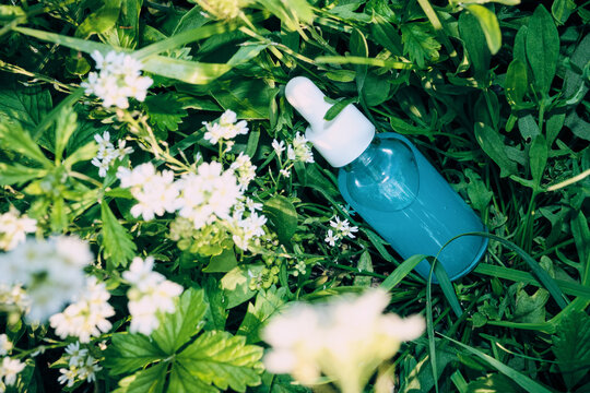 Natural skincare serum dropper bottle resting among fresh green foliage and small white wildflowers