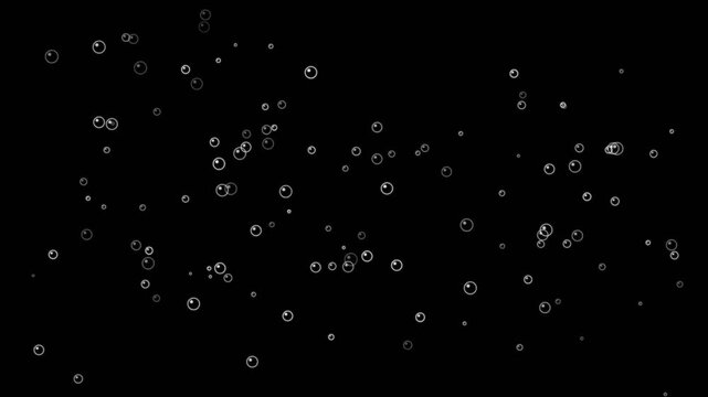 White bubbles rising on a black background.
